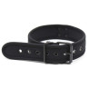 Kinky Puppy Collier en néoprène Noir